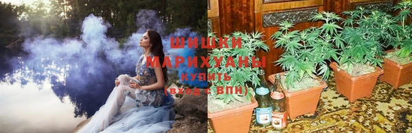 амфетамин Белокуриха