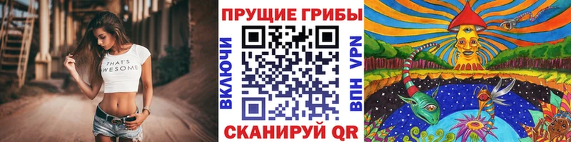 Псилоцибиновые грибы Magic Shrooms Заречный