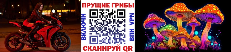Галлюциногенные грибы ЛСД  Заречный 