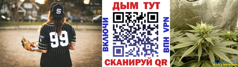 Каннабис сатива  Заречный 